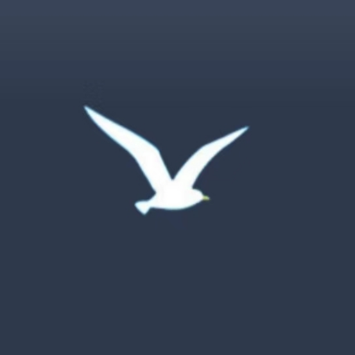 海鸥加速器(中国大陆)官方网站